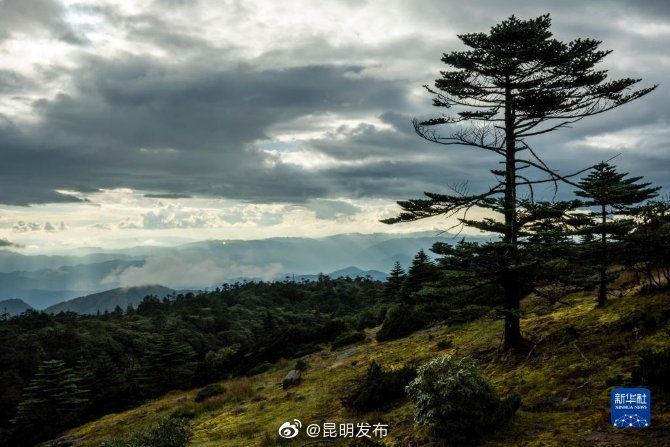 “昆明发布”微博