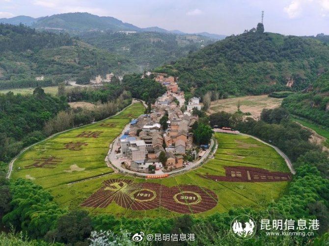 昆明信息港微博