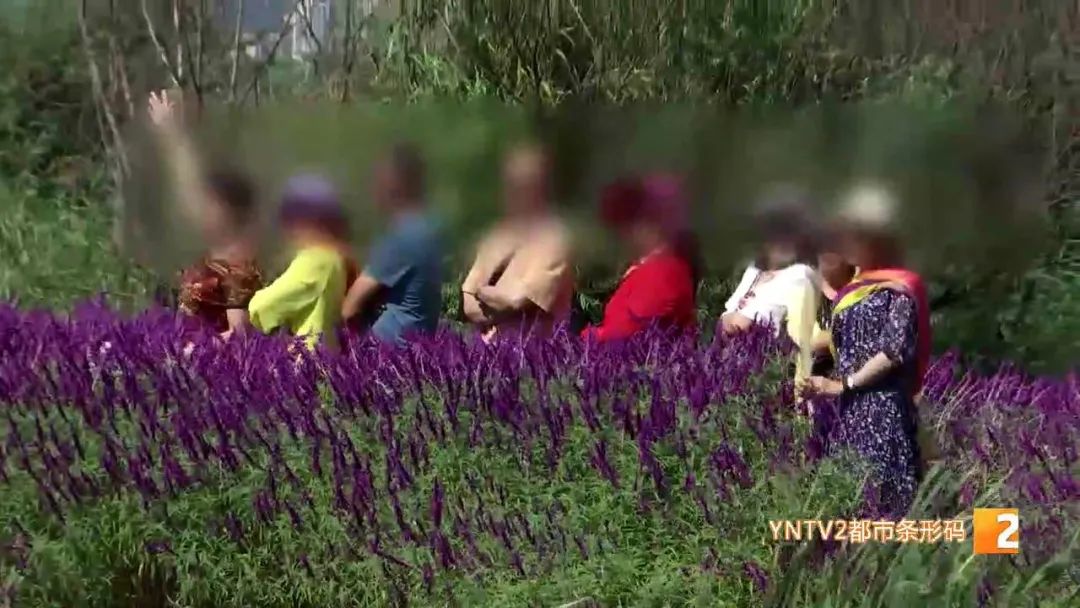 昆明信息港(微信)