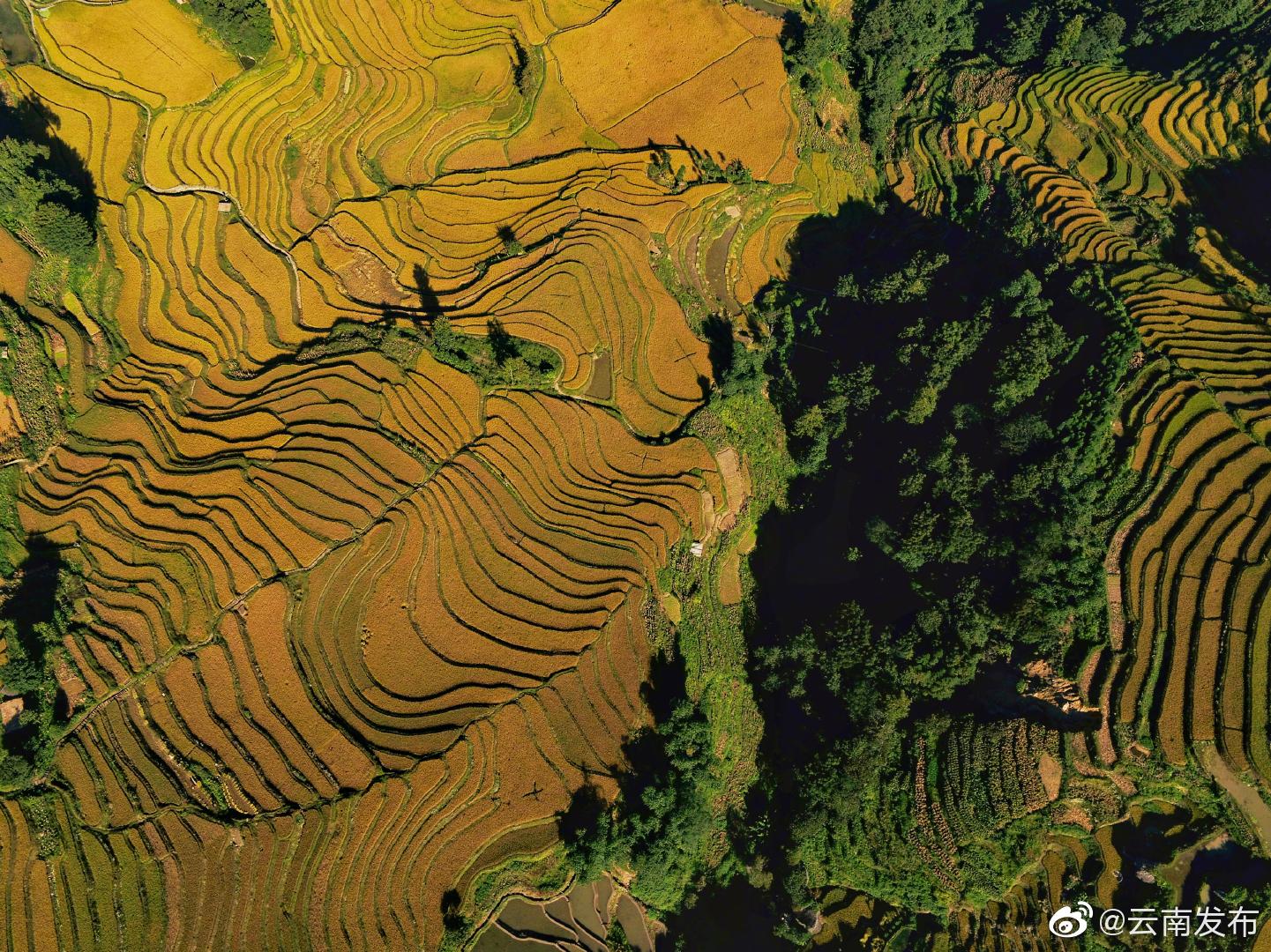 “云南发布”微博