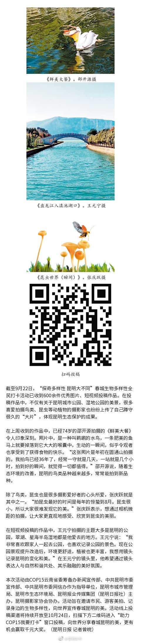 全民打卡热 记录春城美