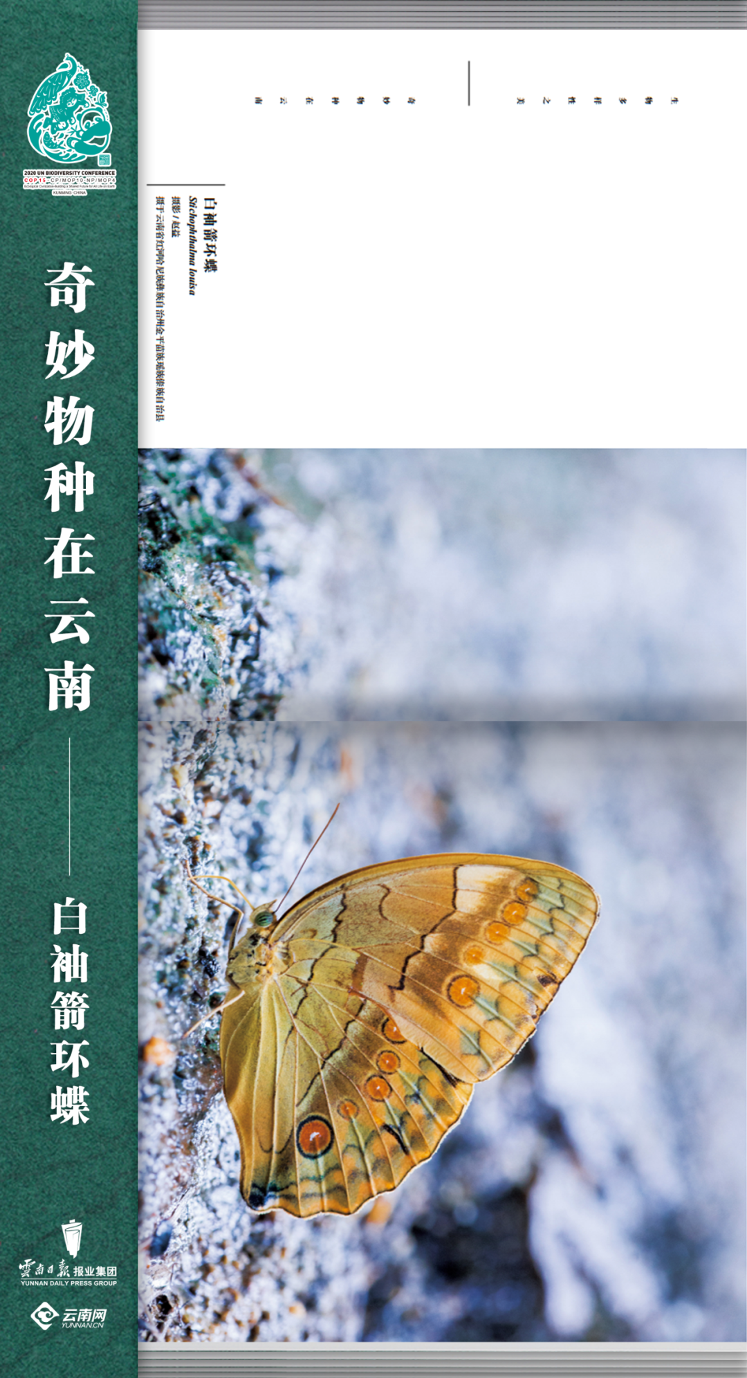 云南法制报(微信)