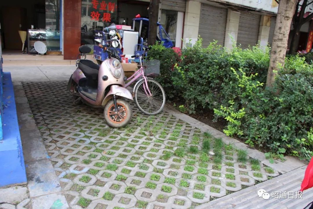 昭通日报(微信)