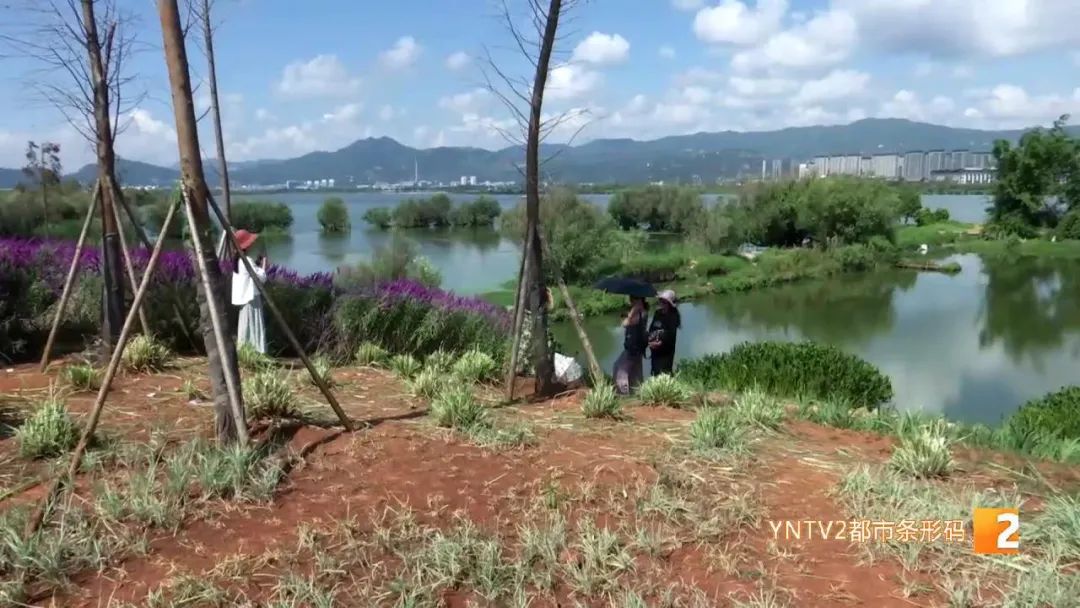 昆明信息港(微信)