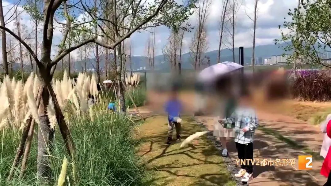 昆明信息港(微信)