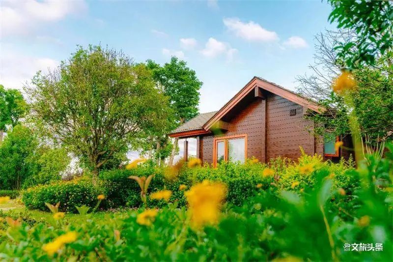 红河文旅(微信)