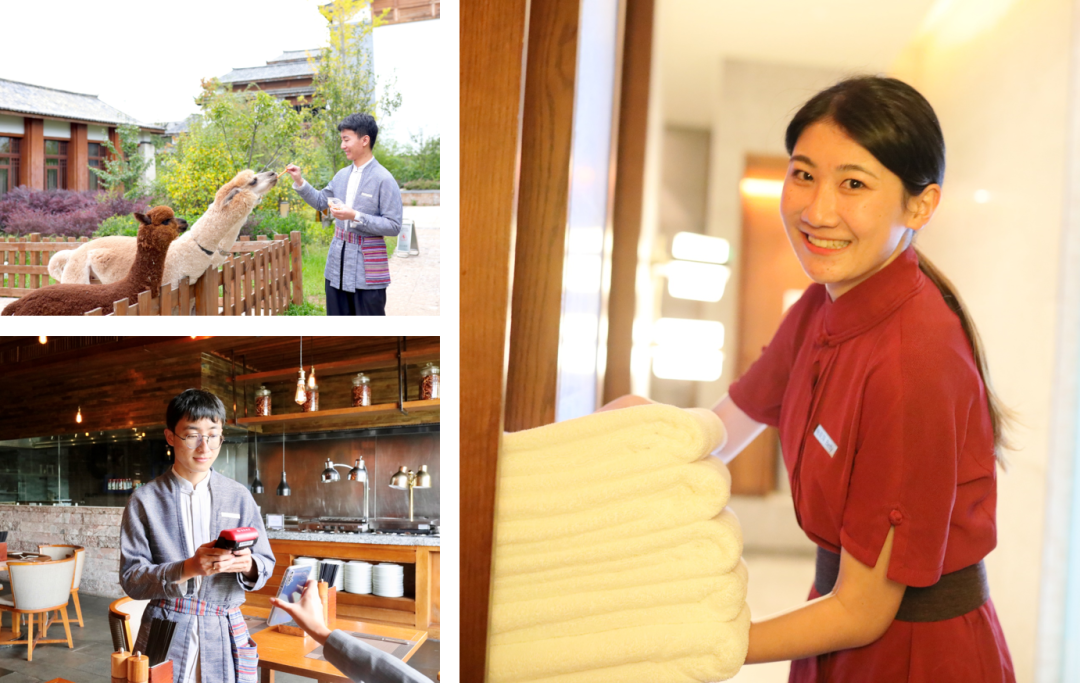 丽江就业(微信)