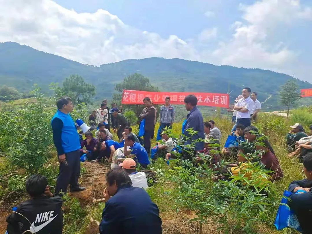 丽江日报(微信)