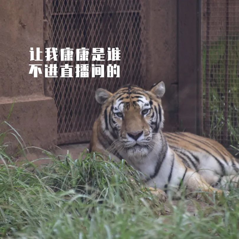 昆明动物园