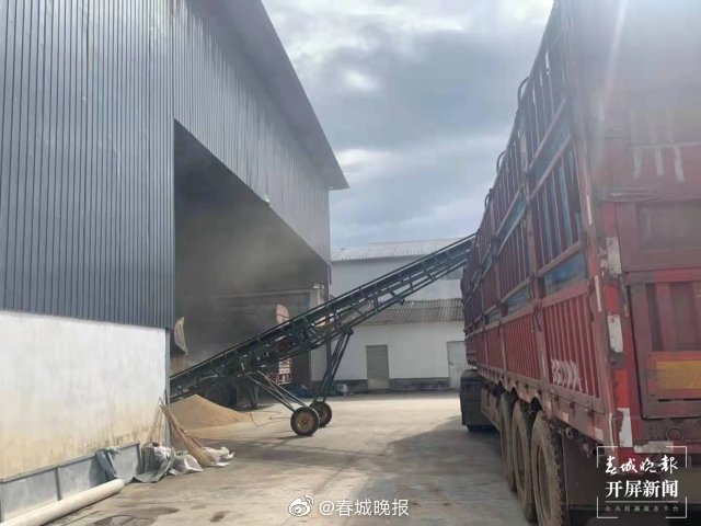 合作社大股东不是“大当家”，德宏这个合作社创建合作新模式