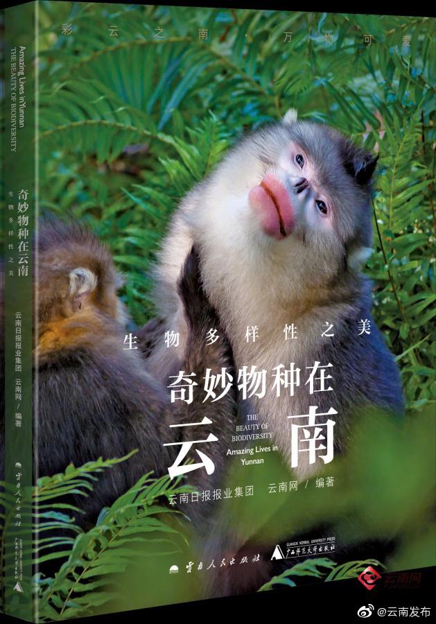 期待！《生物多样性之美·奇妙物种在云南》即将发布