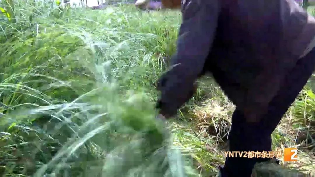 昆明信息港(微信)