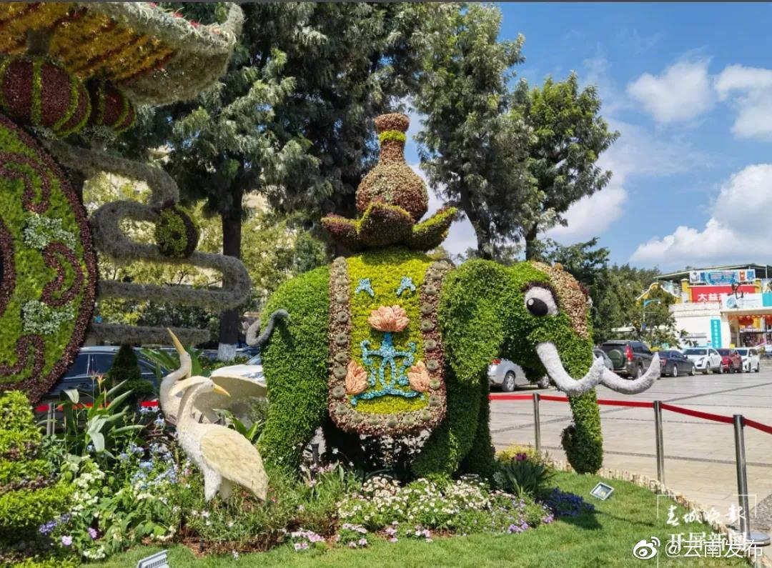 “云南发布”微博