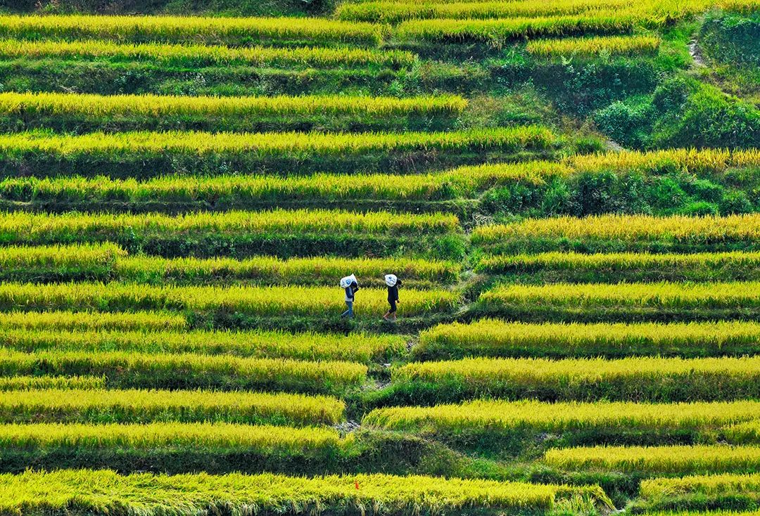 保山新闻网(微信)