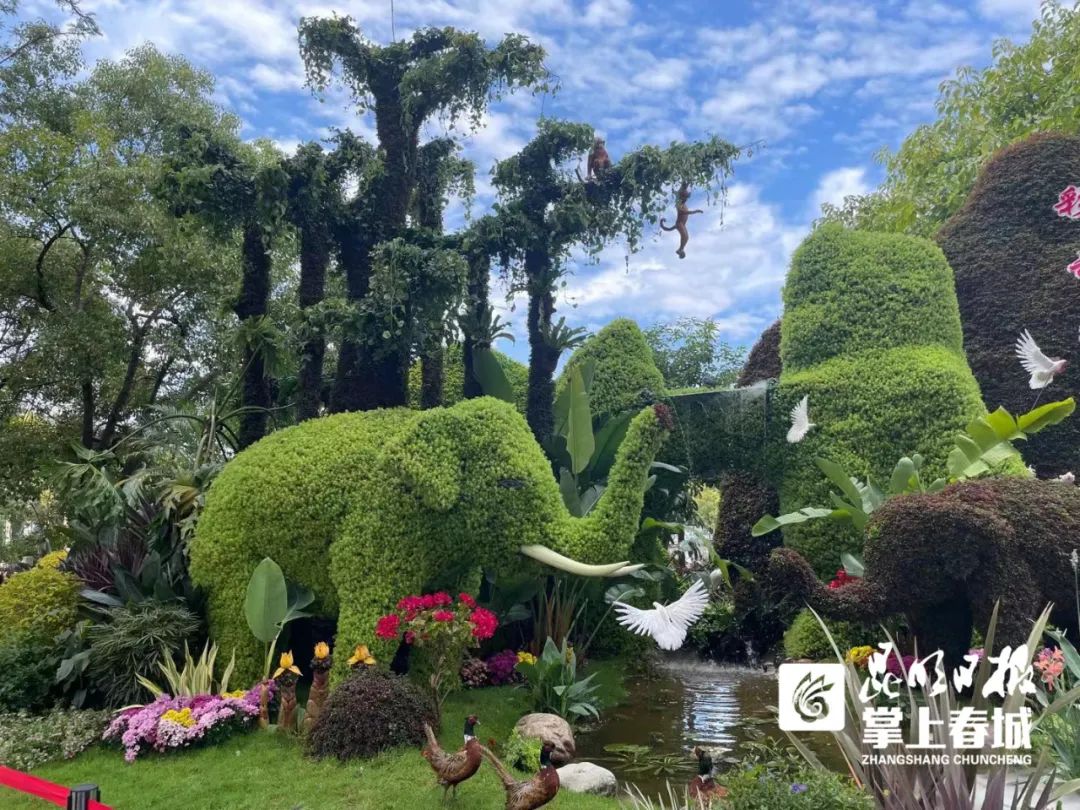 掌上春城(微信)