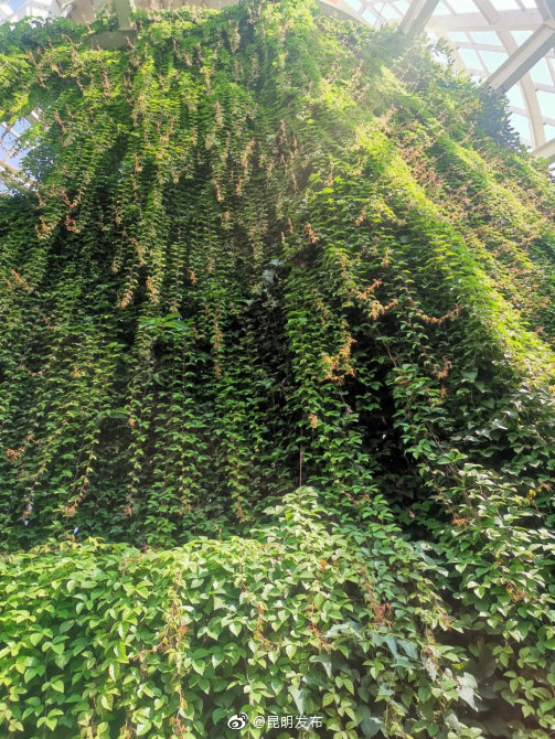 “昆明发布”微博