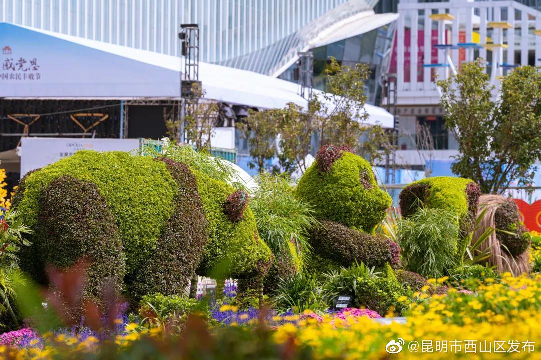 “昆明市西山区发布”微博