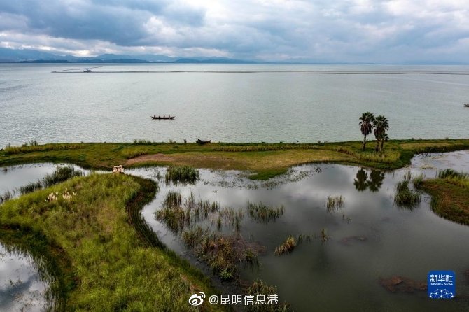 昆明信息港微博