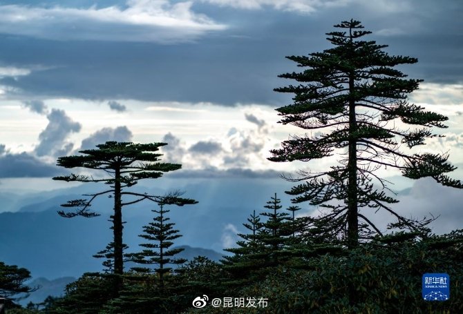 “昆明发布”微博