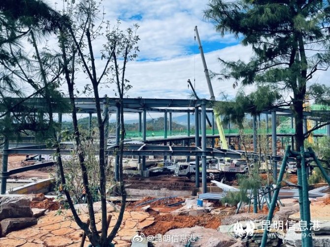 昆明信息港微博