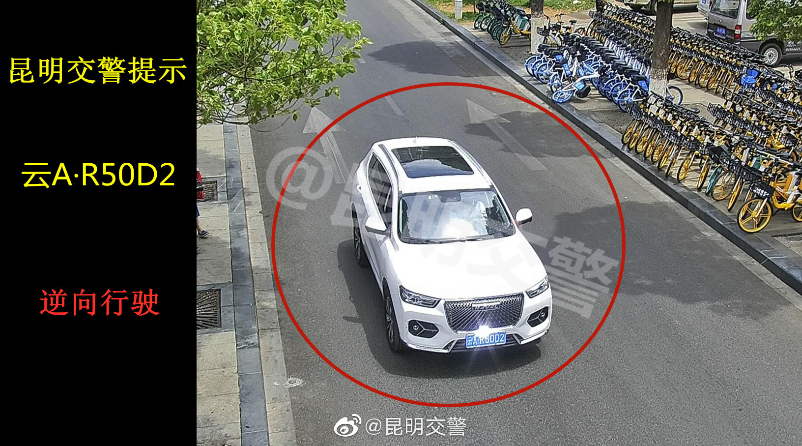 昆明交警微博