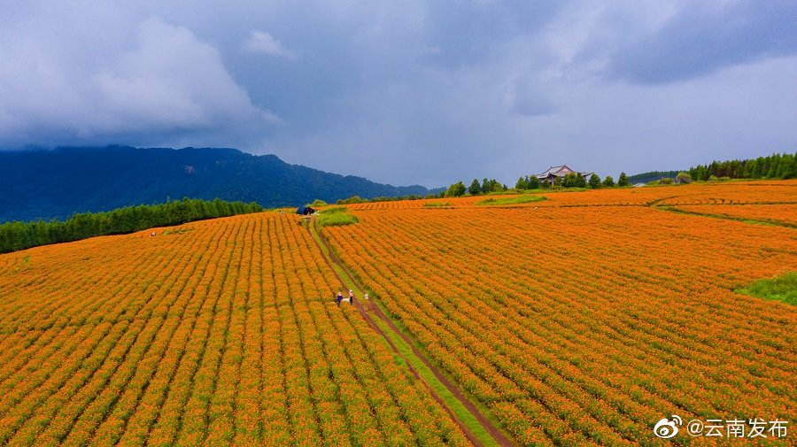 “云南发布”微博