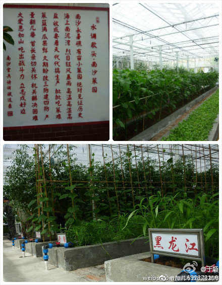 “昆明市西山区发布”微博