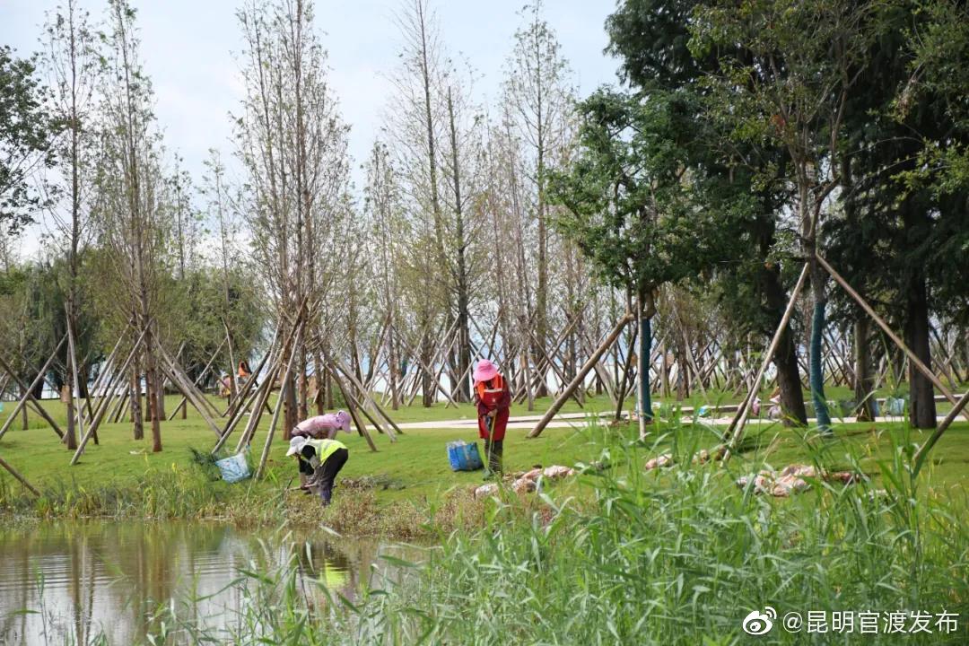“昆明官渡发布”微博