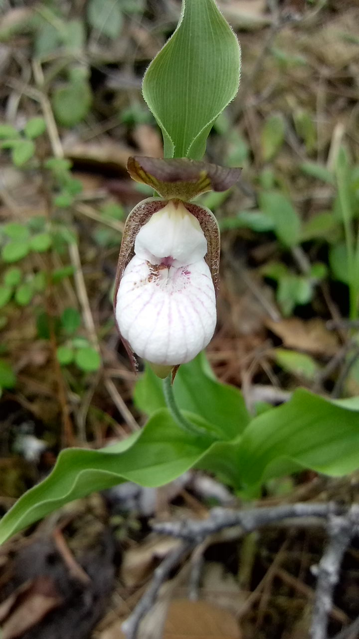 云南政法(微信)