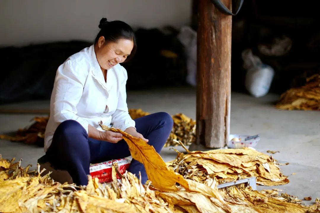 丽江日报(微信)