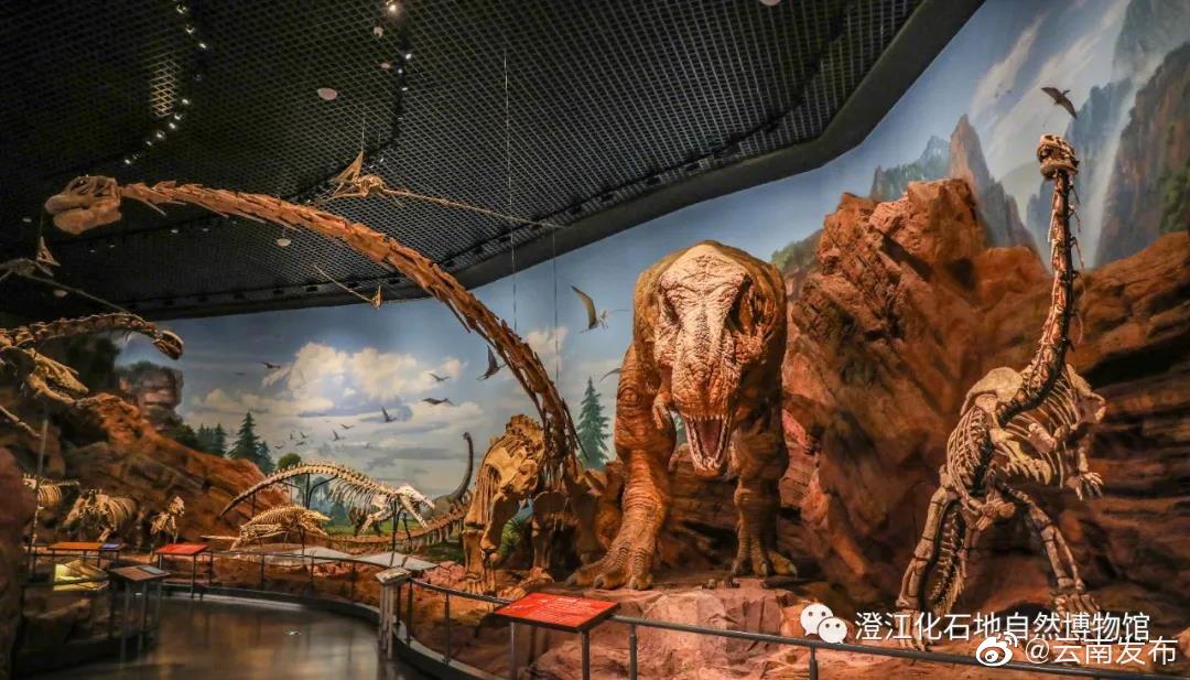 “云南发布”微博