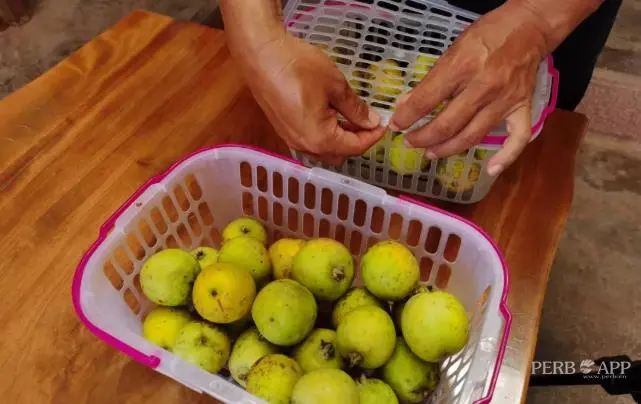 普洱日报(微信)