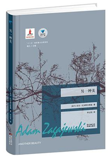 好书推荐：《另一种美》