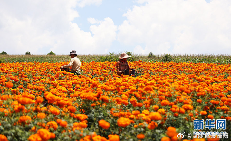 “昆明官渡发布”微博