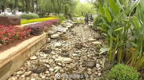 “昆明五华发布”微博