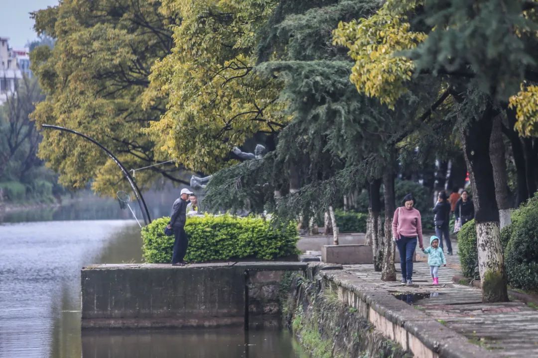 云南广播电视台(微信)