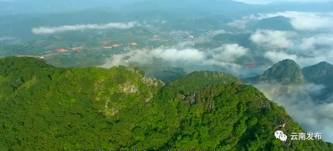 普洱日报(微信)