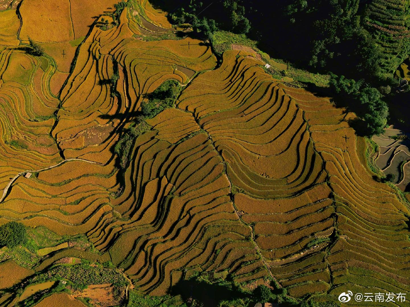 “云南发布”微博