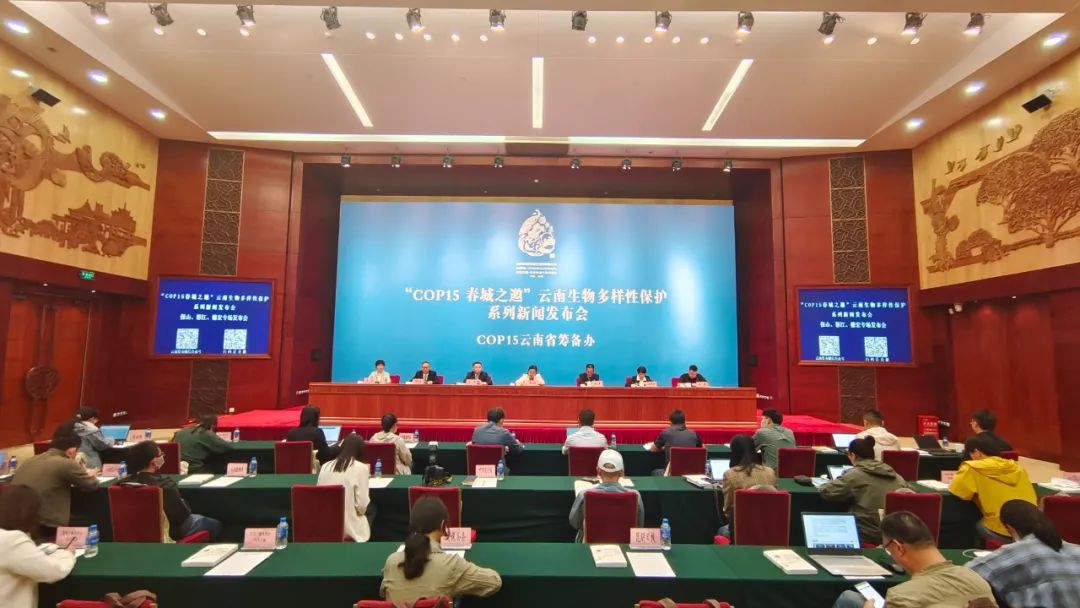 德宏团结报(微信)