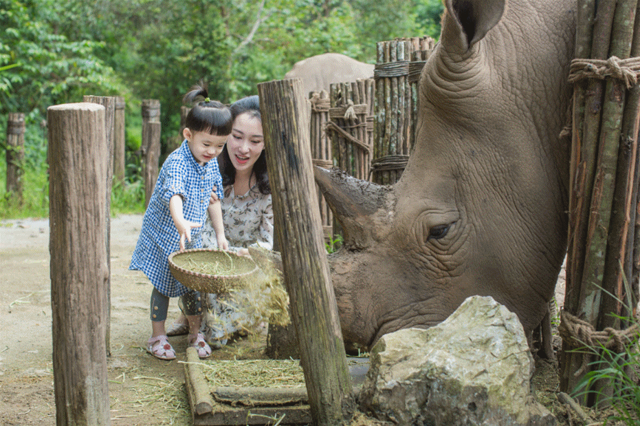 春城晚报(微信)