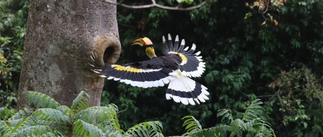 德宏团结报(微信)