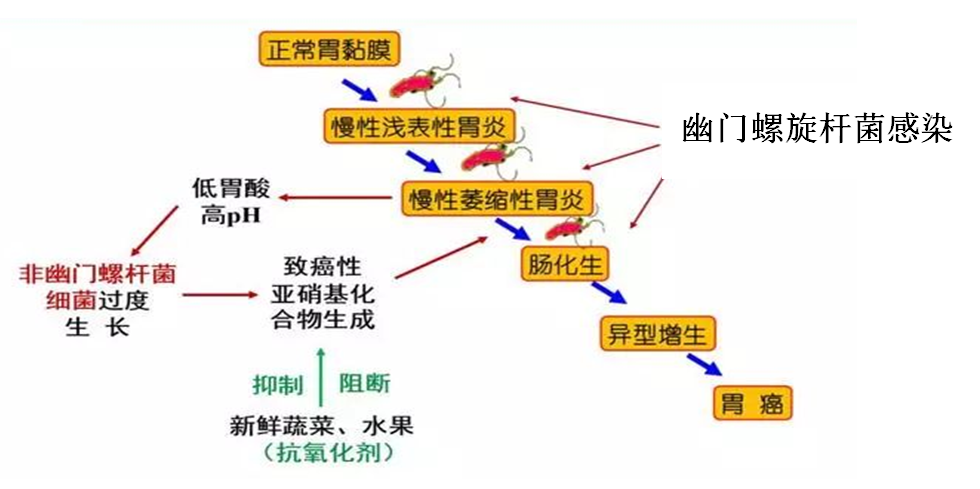 云南省中医医院(微信)