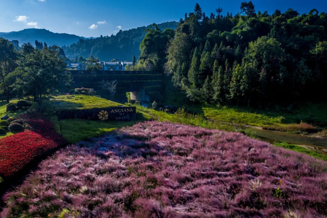 保山新闻网(微信)