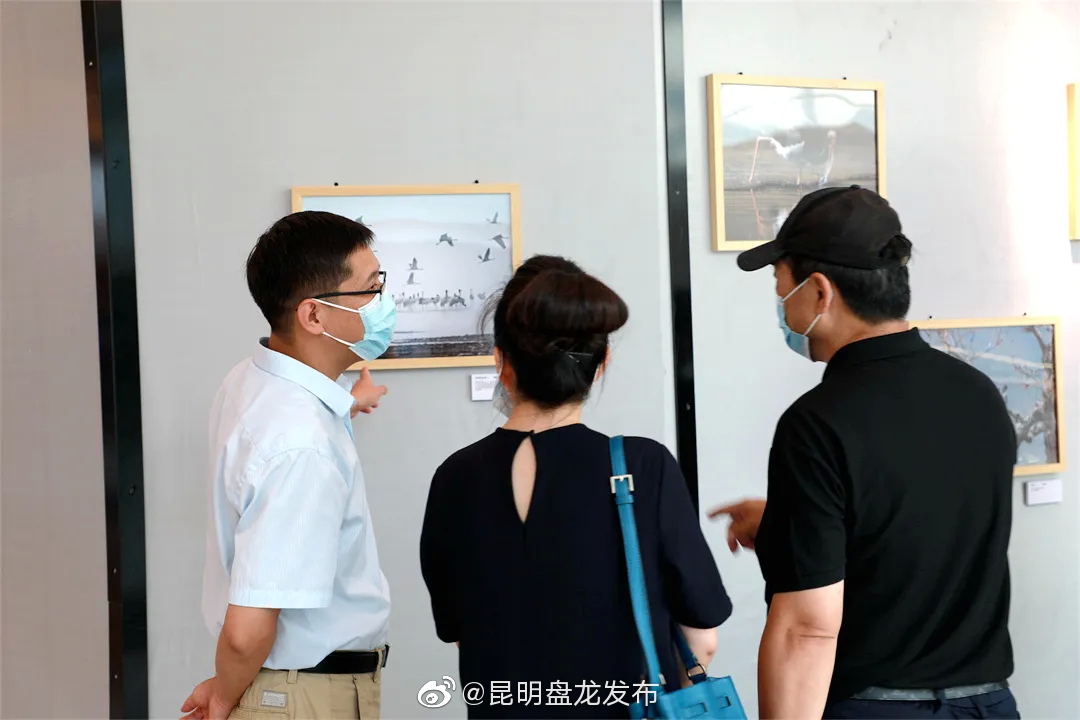 “昆明盘龙发布”微博