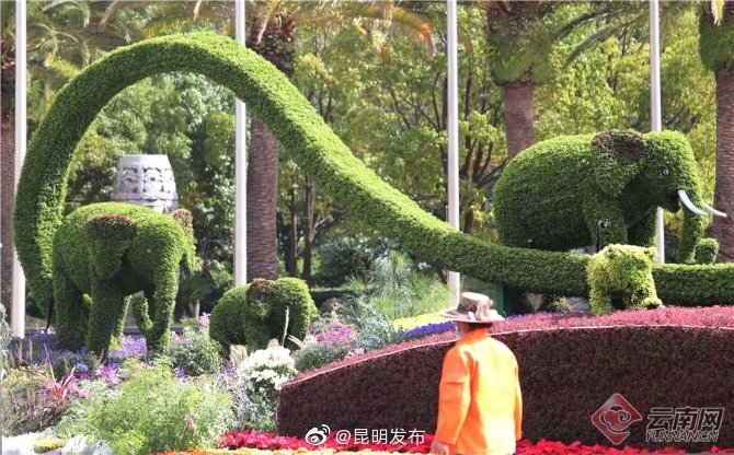 “昆明发布”微博