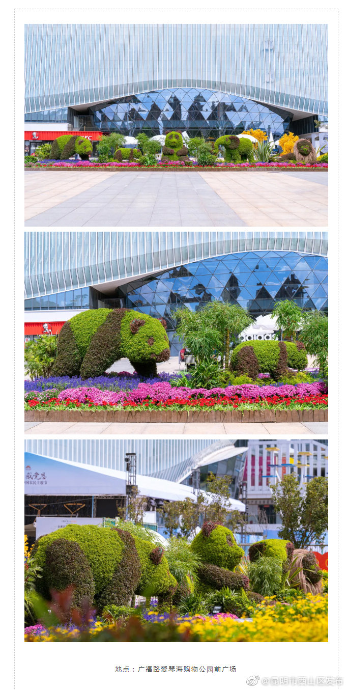 “昆明市西山区发布”微博