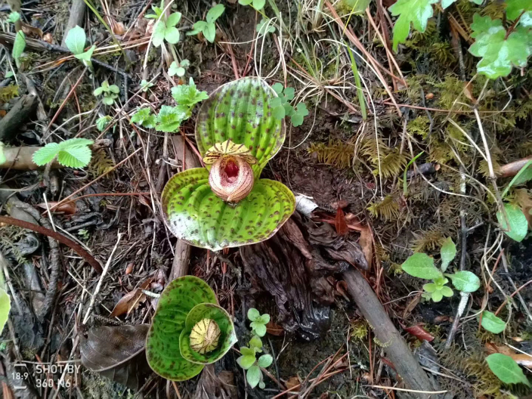 云南政法(微信)