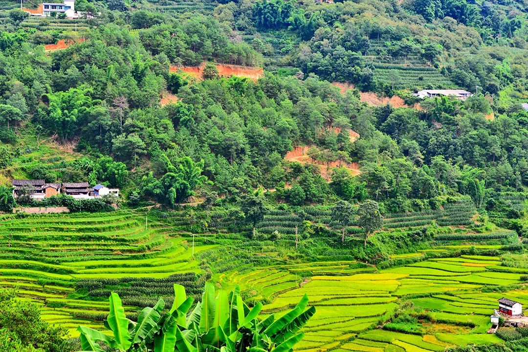 保山新闻网(微信)