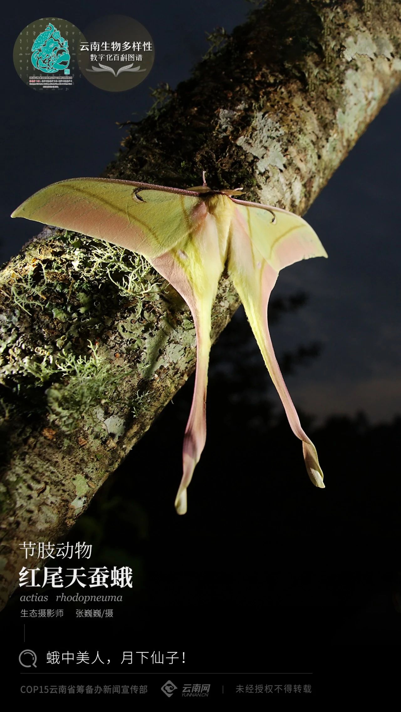 云南省人民政府网