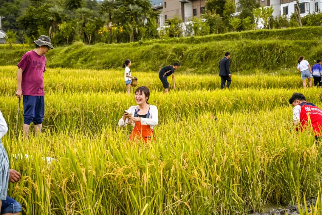 保山新闻网(微信)